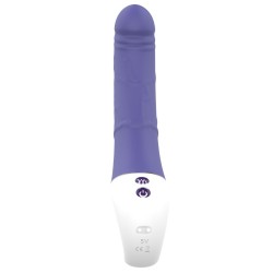 G-Punkt Vibrator Dream Toys Essentials Lila