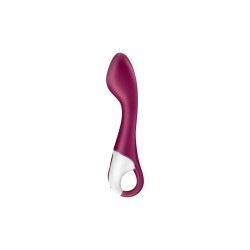 Vibrator Satisfyer