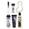 Large Pleasure Kit Shunga CARNAL PLEASURES