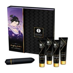 Naughty Geisha Pleasure Kit Shunga SECRET GEISHA COQUINE