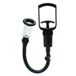 CALEXOTICS - BOUNDLESS... (MPN D-238411)