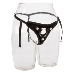 CALEXOTICS - IHR... (MPN D-223971)