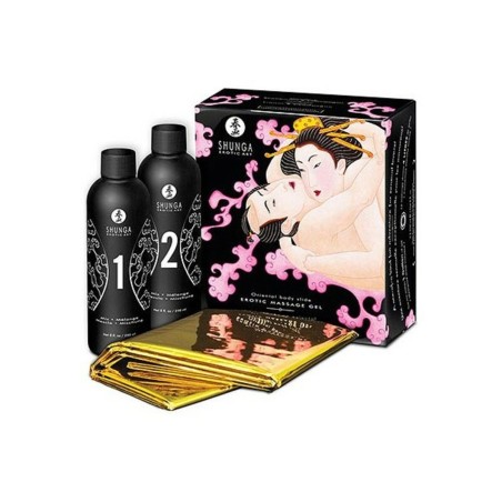 Large Pleasure Kit Shunga 9409_31992 (2 pcs)