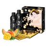 Large Pleasure Kit Shunga SH7702 (2 pcs)