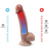 SILEXD - PREMIUM THERMOAKTIVER SILIKON-REALISIERTER PENIS 17,8 CM