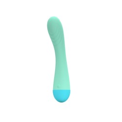 G-Punkt Vibrator Party Color Toys