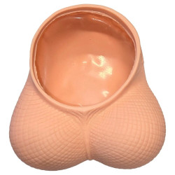 DIABLO PICANTE –... (MPN D-245391)