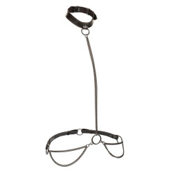 CALEXOTICS - EUPHORIA... (MPN D-241470)