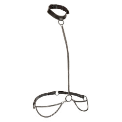 CALEXOTICS - EUPHORIA... (MPN D-241471)