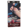 CALEXOTICS - SCANDAL UNIVERSAL ARMBAND-SETS