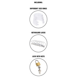 HIDDEN DESIRE - EXTREME KEUSCHHEITSPFERDKÄFIG ACRYL EINSTELLBAR KLAR