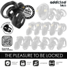 ADDICTED TOYS LOCKED - ETERNAL LOCK PENISKÄFIG 9 CM