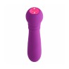 Mini Vibrator FemmeFunn Ultra Bullet