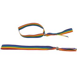 PRIDE - LGBT-FLAGGE... (MPN D-231844)
