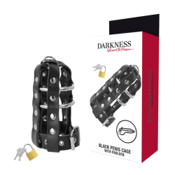 DARKNESS - KEUSCHHEITSKFIG... (MPN D-226696)