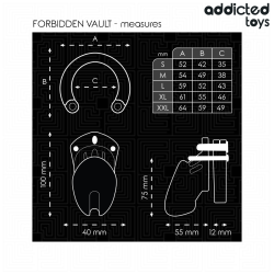 ADDICTED TOYS LOCKED - VERBOTENES PENISKÄFIG 10 CM