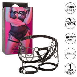 CALEXOTICS - EUPHORIA... (MPN D-241477)