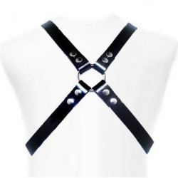 LEATHER BODY - BASIC HARNESS (MPN D-205473)