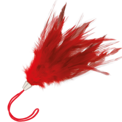 DARKNESS - ROTER... (MPN D-221173)