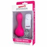 Moove Vibrator mit Fernbedienung in Pink The Screaming O 13300