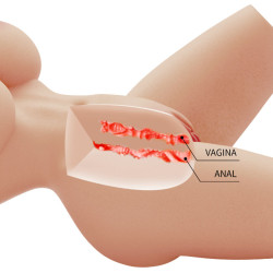 CRAZY BULL - LILY REALISTISCHER WEIBLICHER TORSO VAGINA UND ANAL 4 KG